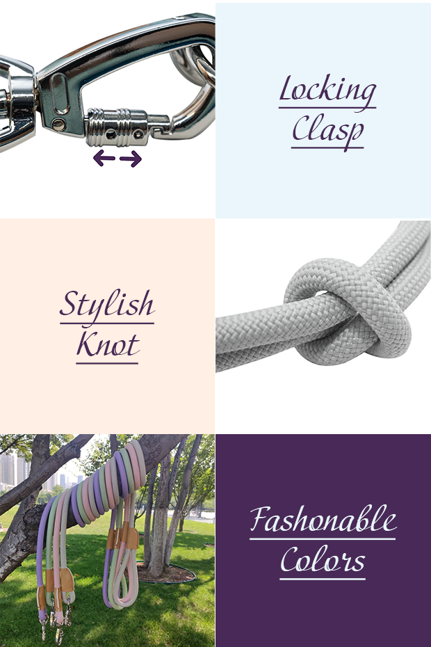 Petmarkable™ Designer Nylon Rope Pet Slip Lead Dog Leash and Collar Set